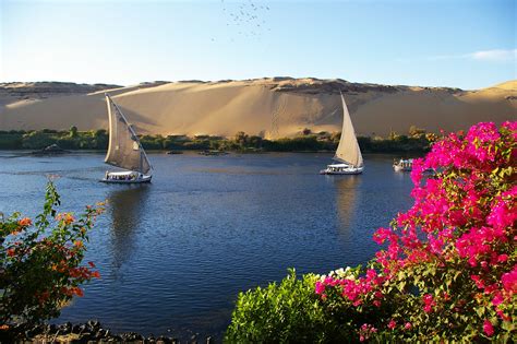  A Bela Ilha de Kitchener: Um Refúgio de Paz em Aswan!