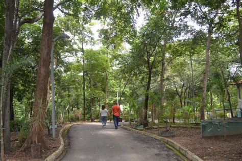 Parque da Cidade - Uma Odisseia Verdejante e Refrescante no Coração de Teresina!