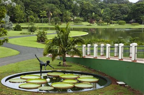  Jardim Botânico de Yiyang: Um Santuário Vegetal Envolto em História e Cultura!