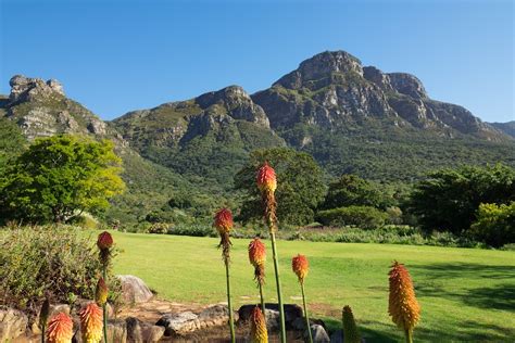 O Jardim Botânico Nacional Kirstenbosch, um oásis verdejante de biodiversidade exuberante!