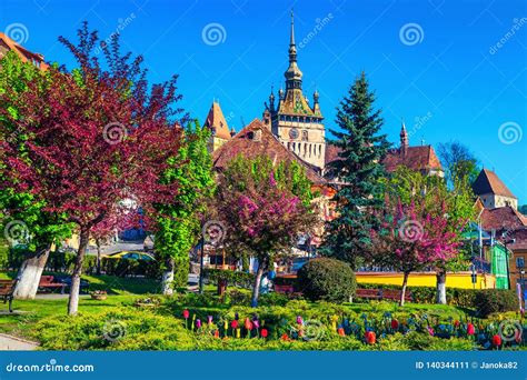 O Jardim de Flores Keyuan: Um Oásis Floral Colorido e Aromático no Coração da Cidade!