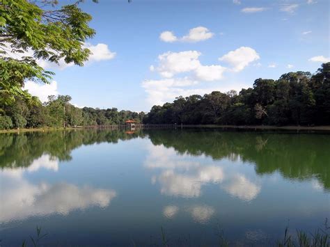 Parque Florestal de Suiyang, um santuário verdejante para aventureiros e amantes da natureza!